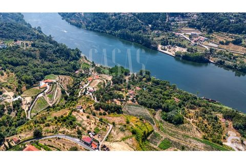 Villa a Cinfaes, Viseu, Cinfaes - € 300.000 | Ref: CCA186 - foto 29