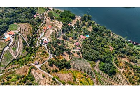 Villa a Cinfaes, Viseu, Cinfaes - € 300.000 | Ref: CCA186 - foto 30
