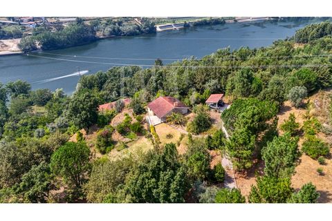 Villa a Cinfaes, Viseu, Cinfaes - € 300.000 | Ref: CCA186 - foto 32