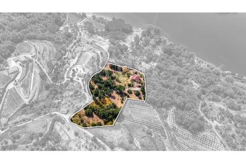 Villa a Cinfaes, Viseu, Cinfaes - € 300.000 | Ref: CCA186 - foto 33