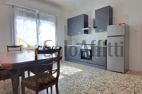 Estudi a Carpi, Modena, Carpi - € 450/mes | Ref: AS-0011 - foto 3