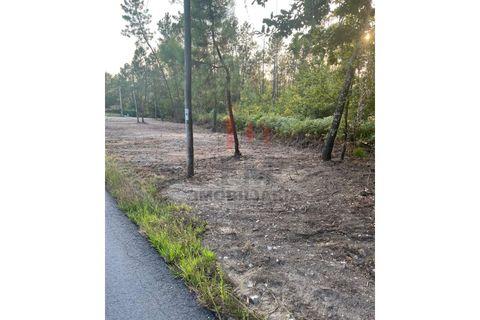 Helårsgrund i Arcos de Valdevez, Viana do Castelo, Arcos de Valdevez - € 30.000 | Ref: FM1105 - foto 3