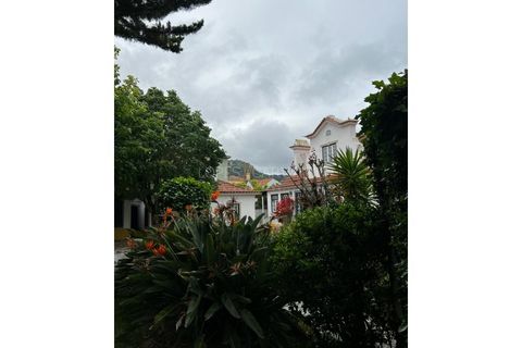 Farm i Sintra, Lisbon, Sintra - € 3.850.000 | Ref: APA_1056 - foto 21