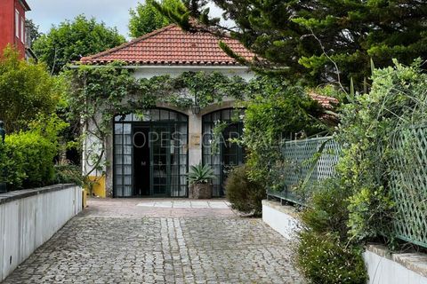 Farm i Sintra, Lisbon, Sintra - € 3.850.000 | Ref: APA_1056 - foto 29
