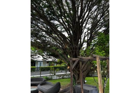 Farm i Sintra, Lisbon, Sintra - € 3.850.000 | Ref: APA_1056 - foto 43