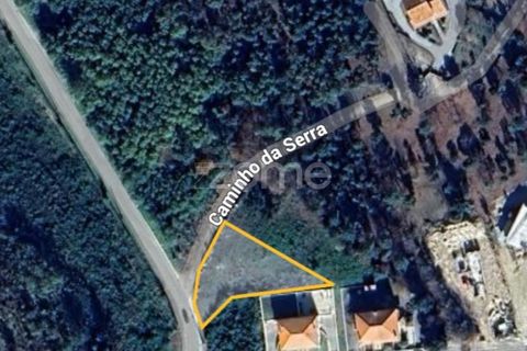 Helårsgrund i Mangualde, Viseu, Mangualde - € 32.500 | Ref: ZMPT579843 - foto 3