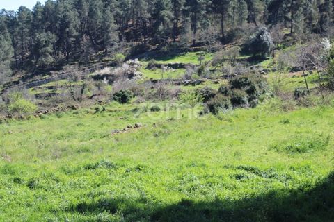Helårsgrund i Mangualde, Viseu, Mangualde - € 32.500 | Ref: ZMPT579843 - foto 9