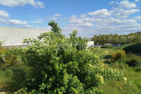 Helårsgrund i Mangualde, Viseu, Mangualde - € 32.500 | Ref: ZMPT579843 - foto 11