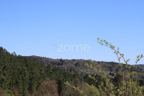 Helårsgrund i Mangualde, Viseu, Mangualde - € 32.500 | Ref: ZMPT579843 - foto 12