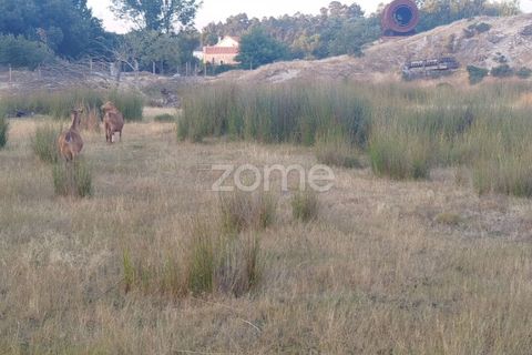 Terra a Seia, Guarda, Seia - € 1.000.000 | Ref: ZMPT579781 - foto 3
