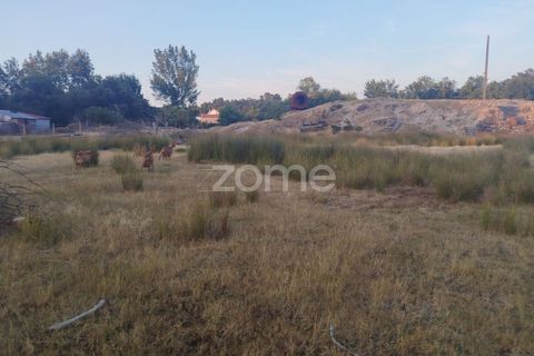Terra a Seia, Guarda, Seia - € 1.000.000 | Ref: ZMPT579781 - foto 5