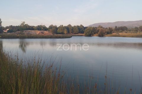 Terra a Seia, Guarda, Seia - € 1.000.000 | Ref: ZMPT579781 - foto 7