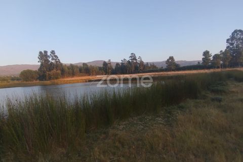 Terra a Seia, Guarda, Seia - € 1.000.000 | Ref: ZMPT579781 - foto 8