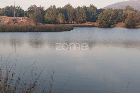 Terra a Seia, Guarda, Seia - € 1.000.000 | Ref: ZMPT579781 - foto 9