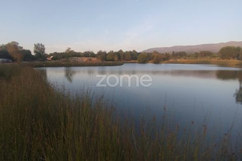 Terra a Seia, Guarda, Seia - € 1.000.000 | Ref: ZMPT579781 - foto 10