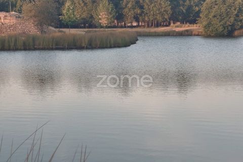 Terra a Seia, Guarda, Seia - € 1.000.000 | Ref: ZMPT579781 - foto 11