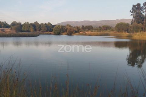 Terra a Seia, Guarda, Seia - € 1.000.000 | Ref: ZMPT579781 - foto 12