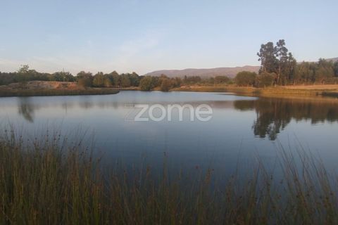 Terra a Seia, Guarda, Seia - € 1.000.000 | Ref: ZMPT579781 - foto 15