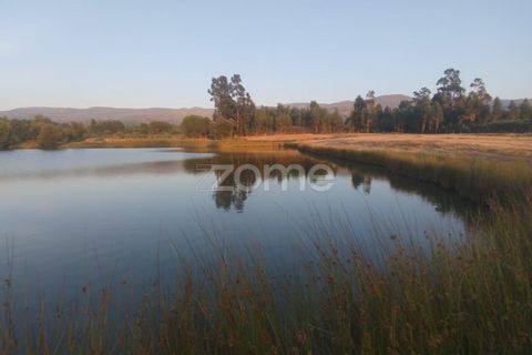 Terra a Seia, Guarda, Seia - € 1.000.000 | Ref: ZMPT579781 - foto 16