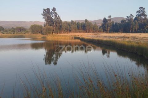 Terra a Seia, Guarda, Seia - € 1.000.000 | Ref: ZMPT579781 - foto 17