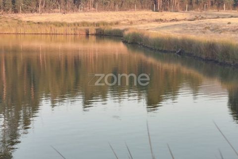 Terra a Seia, Guarda, Seia - € 1.000.000 | Ref: ZMPT579781 - foto 18