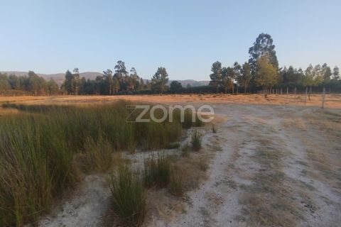 Terra a Seia, Guarda, Seia - € 1.000.000 | Ref: ZMPT579781 - foto 19