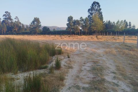 Terra a Seia, Guarda, Seia - € 1.000.000 | Ref: ZMPT579781 - foto 22