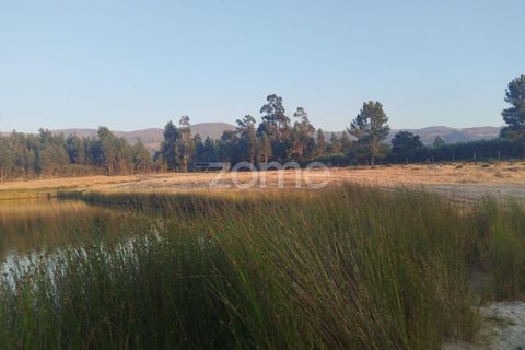 Terra a Seia, Guarda, Seia - € 1.000.000 | Ref: ZMPT579781 - foto 26