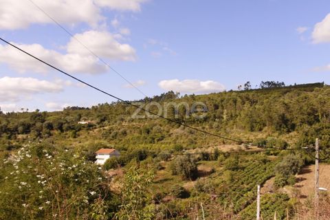 Villa a Condeixa-a-Nova, Coimbra, Condeixa-a-Nova - € 25.000 | Ref: ZMPT579704 - foto 5