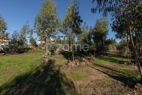 Terra a Antuzede e Vil de Matos, Coimbra, Antuzede e Vil de Matos - € 79.800 | Ref: ZMPT571906 - foto 9