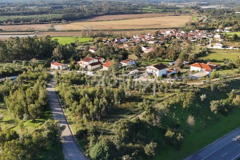 Terra a Antuzede e Vil de Matos, Coimbra, Antuzede e Vil de Matos - € 79.800 | Ref: ZMPT571906 - foto 15