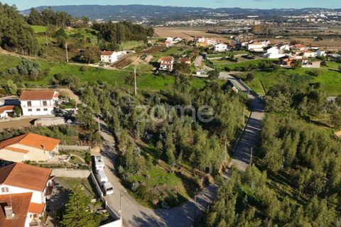 Terra a Antuzede e Vil de Matos, Coimbra, Antuzede e Vil de Matos - € 79.800 | Ref: ZMPT571906 - foto 20