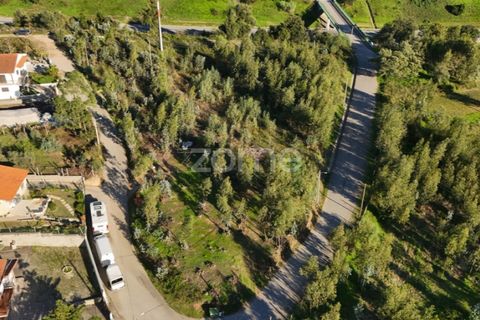 Terra a Antuzede e Vil de Matos, Coimbra, Antuzede e Vil de Matos - € 79.800 | Ref: ZMPT571906 - foto 21