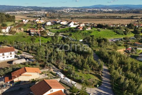 Terra a Antuzede e Vil de Matos, Coimbra, Antuzede e Vil de Matos - € 79.800 | Ref: ZMPT571906 - foto 22