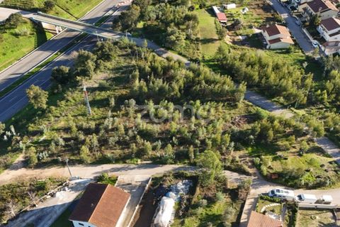 Terra a Antuzede e Vil de Matos, Coimbra, Antuzede e Vil de Matos - € 79.800 | Ref: ZMPT571906 - foto 23