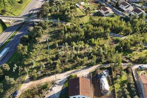 Terra a Antuzede e Vil de Matos, Coimbra, Antuzede e Vil de Matos - € 79.800 | Ref: ZMPT571906 - foto 24
