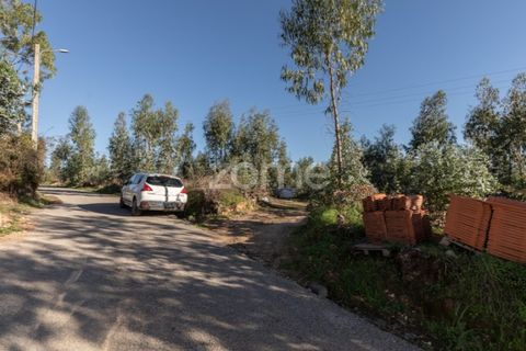 Terra a Antuzede e Vil de Matos, Coimbra, Antuzede e Vil de Matos - € 79.800 | Ref: ZMPT571906 - foto 4