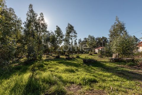 Terra a Antuzede e Vil de Matos, Coimbra, Antuzede e Vil de Matos - € 79.800 | Ref: ZMPT571906 - foto 5