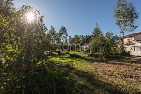 Terra a Antuzede e Vil de Matos, Coimbra, Antuzede e Vil de Matos - € 79.800 | Ref: ZMPT571906 - foto 6