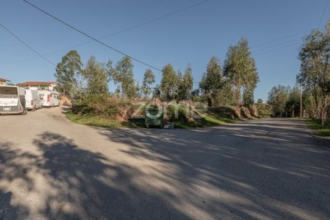 Terra a Antuzede e Vil de Matos, Coimbra, Antuzede e Vil de Matos - € 79.800 | Ref: ZMPT571906 - foto 10
