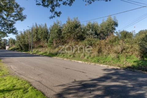 Terra a Antuzede e Vil de Matos, Coimbra, Antuzede e Vil de Matos - € 79.800 | Ref: ZMPT571906 - foto 11