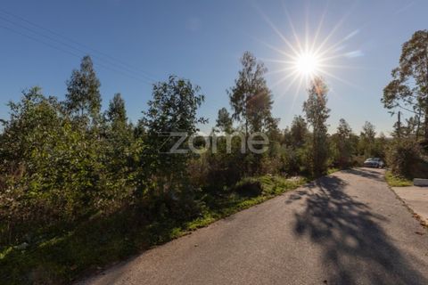 Terra a Antuzede e Vil de Matos, Coimbra, Antuzede e Vil de Matos - € 79.800 | Ref: ZMPT571906 - foto 12
