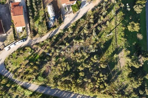 Terra a Antuzede e Vil de Matos, Coimbra, Antuzede e Vil de Matos - € 79.800 | Ref: ZMPT571906 - foto 17