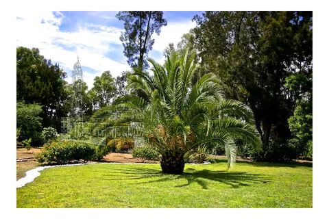 Villa i Alvor, Faro, Alvor - € 3.500.000 | Ref: PC_11235 - foto 47