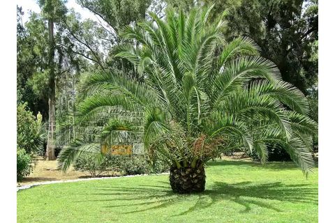 Villa i Alvor, Faro, Alvor - € 3.500.000 | Ref: PC_11235 - foto 48