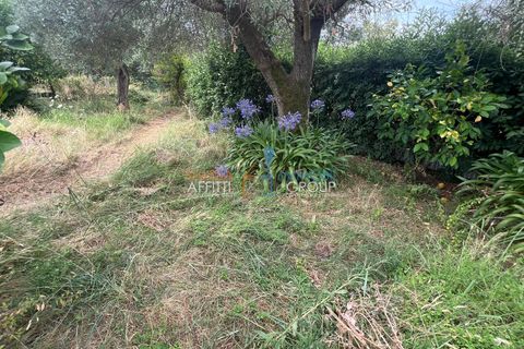 Erhvervsejendom i Massa, Massa and Carrara, Massa - € 23.000 | Ref: 3475 - foto 1