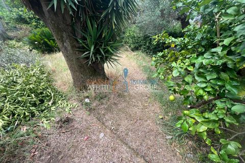 Erhvervsejendom i Massa, Massa and Carrara, Massa - € 23.000 | Ref: 3475 - foto 3