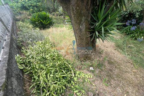 Erhvervsejendom i Massa, Massa and Carrara, Massa - € 23.000 | Ref: 3475 - foto 4