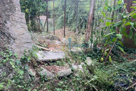 Erhvervsejendom i Massa, Massa and Carrara, Massa - € 23.000 | Ref: 3475 - foto 7