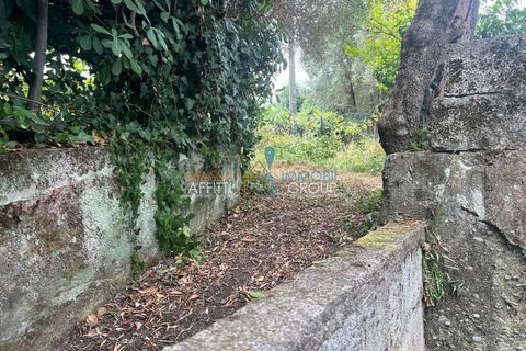 Erhvervsejendom i Massa, Massa and Carrara, Massa - € 23.000 | Ref: 3475 - foto 8